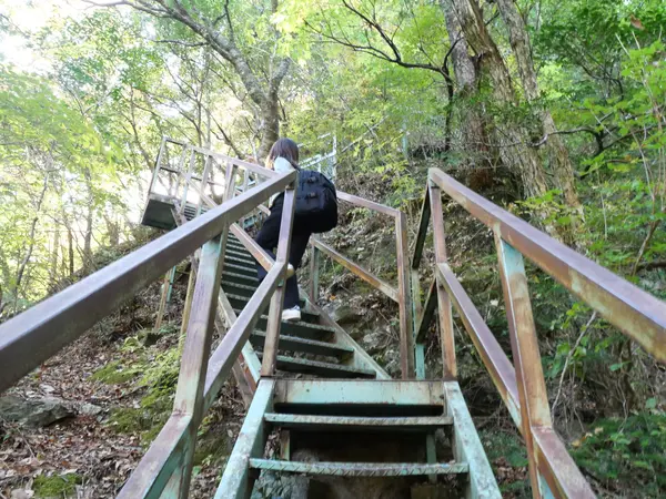 息を切らしながら、ゆっくり登っていくと、絶景が！