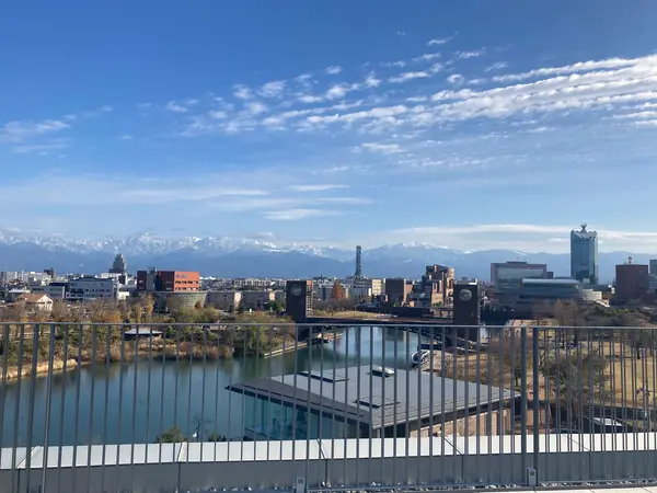 屋上からの眺め