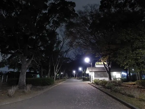 探索開始