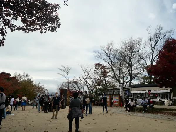 山頂は見晴らしの良い広場
