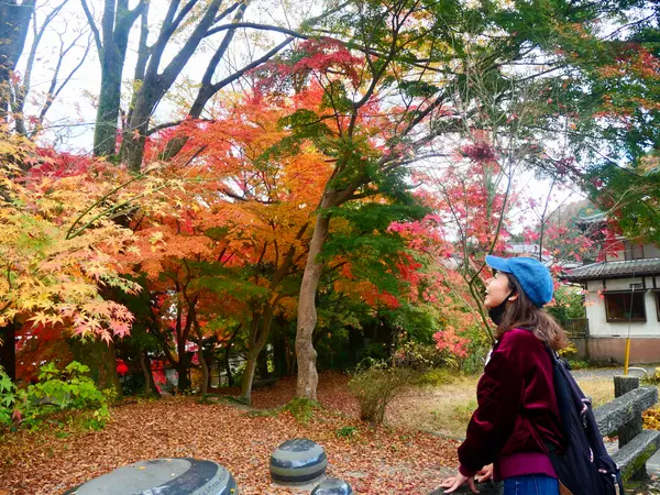 朝から紅葉を眺められていい気分～