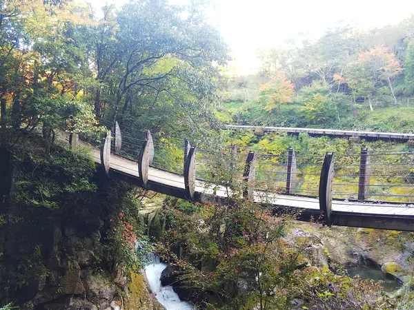 0967-46-2113 (小国町役場)