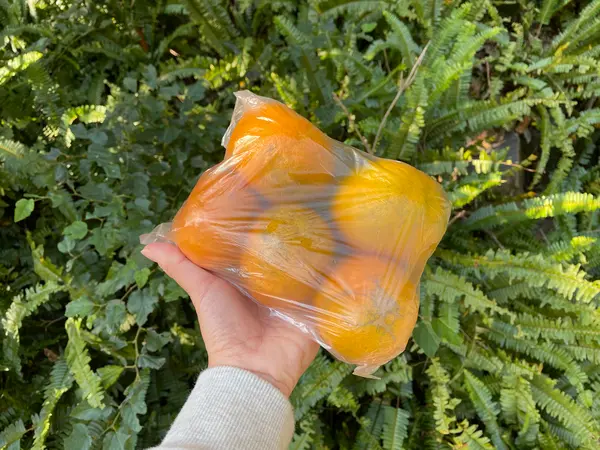 屋久島の特産品「ポンカン」