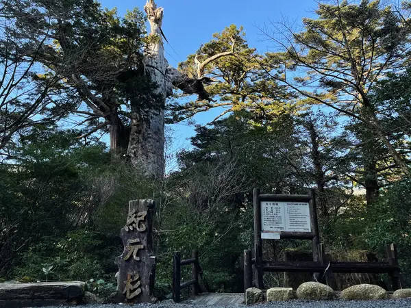 最後の目的地は「紀元杉」