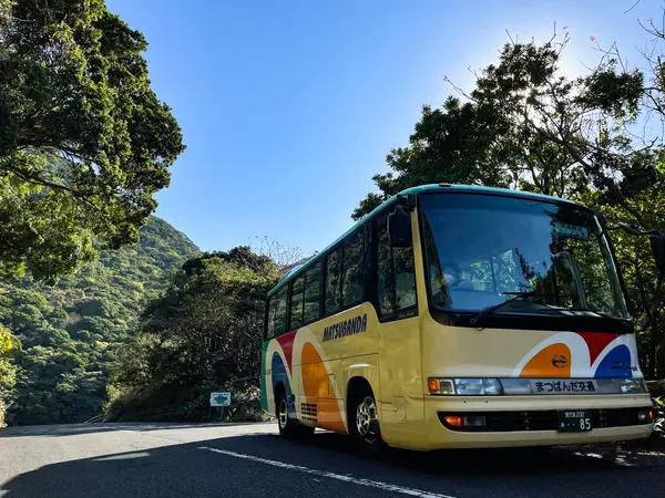 カラフルなバスが迎えに来ました🚌