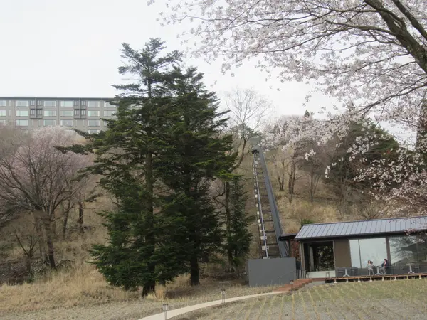 温泉からの景色