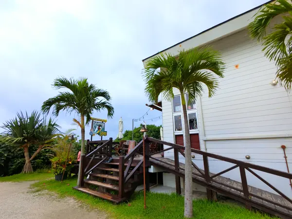 ヤシの木と白い建物が南国を感じれる🌴