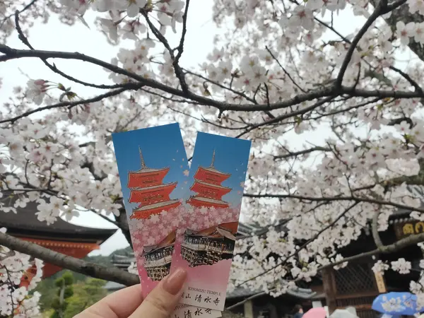 拝観チケットが可愛い♡