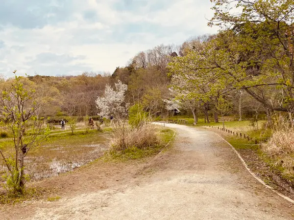 里山の春