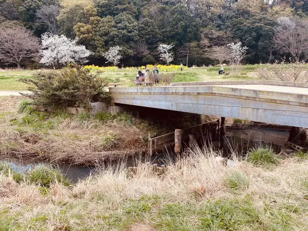 木の橋