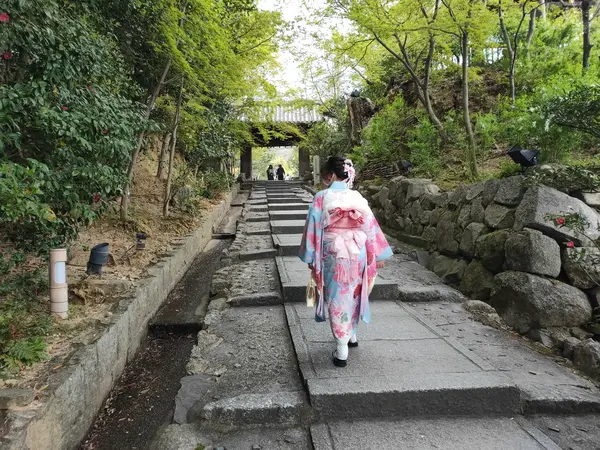ねねの道から