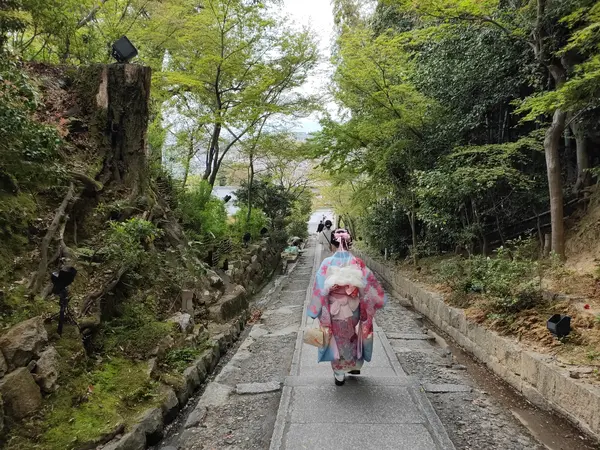 京都市内の見晴らし