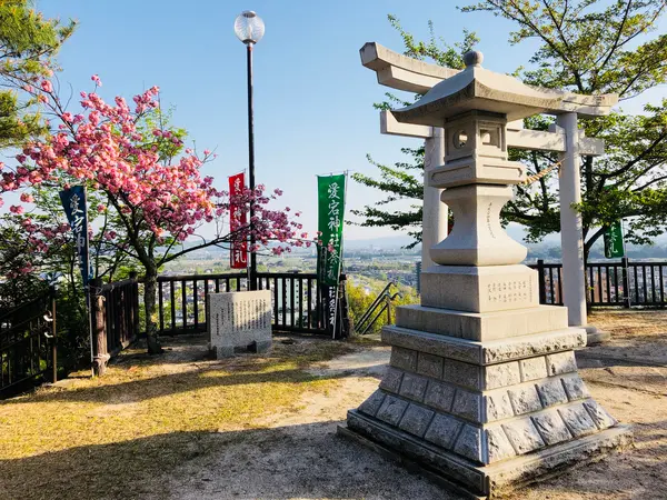 境内と八重桜