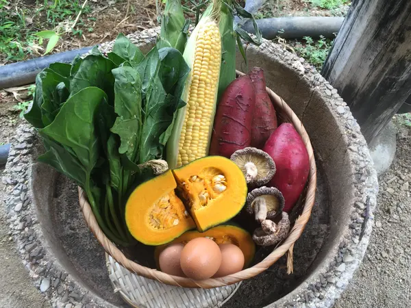 蒸すと野菜も卵も最高に美味くなります