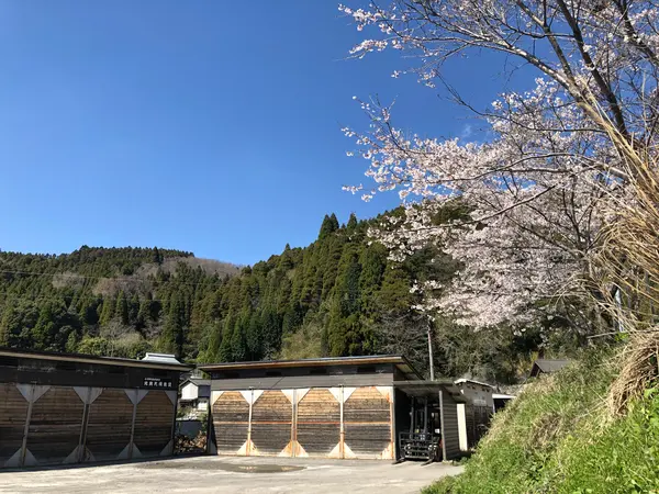 真下には地熱を活用した木材乾燥室もあり。私の給料の源。