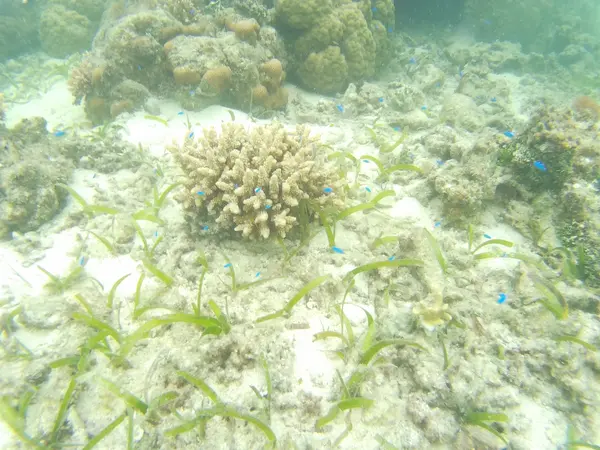 そっとお魚の世界を覗こう