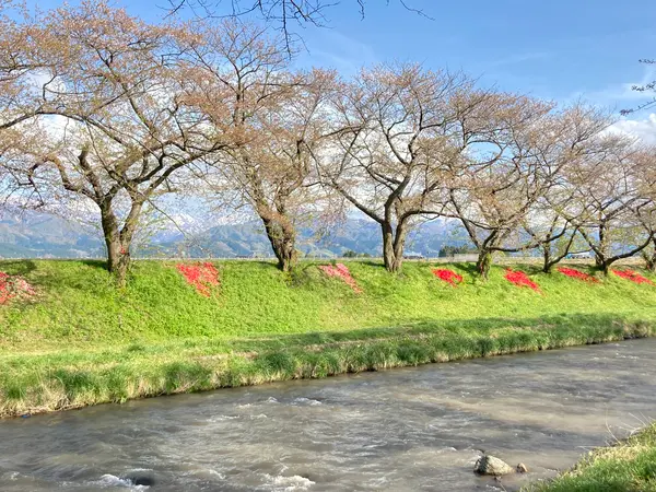 ため息が出ます