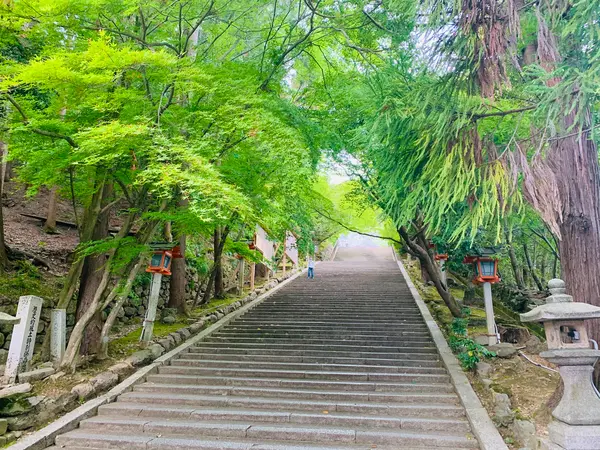 表山道  階段