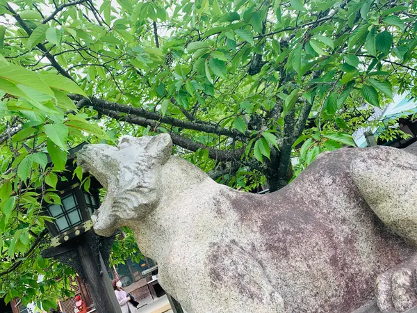 阿吽の牛と虎