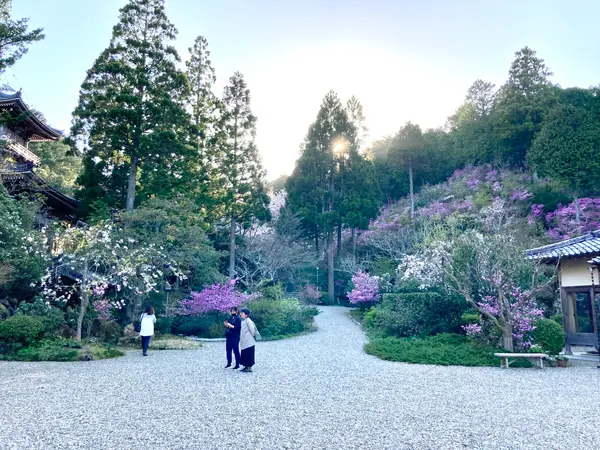 花がいっぱいの境内