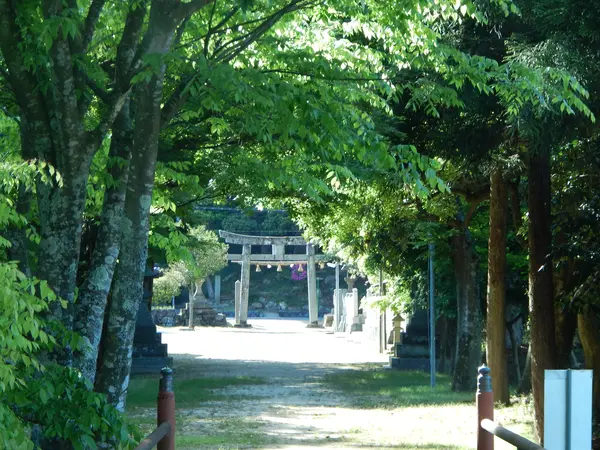 本殿の奥も要チェック