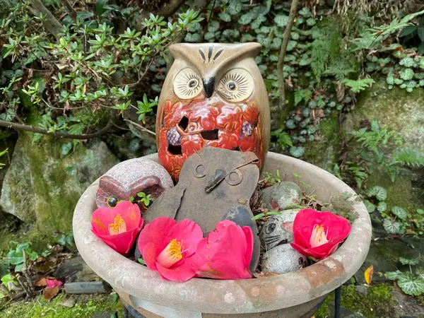 フクロウ好き🦉は絶対に訪れるべき穴場カフェ