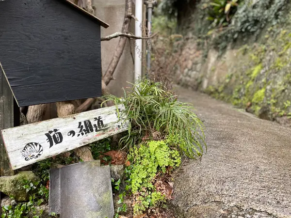 奥の細道ならぬ「猫の細道」