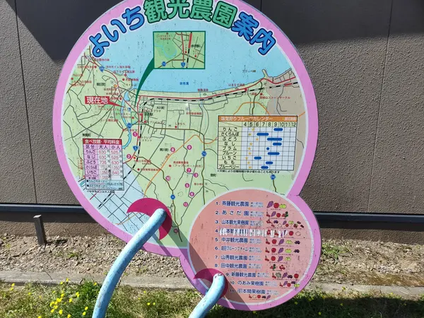 観光農園もたくさん