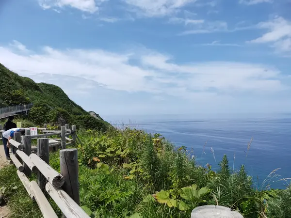 景色を楽しみながら