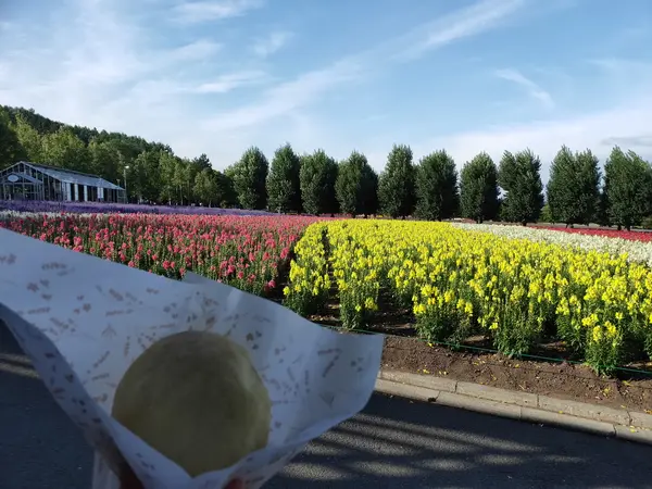カラフルなお花の景色
