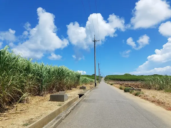 波照間に上陸したらまずレンタサイクル