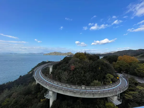 自転車専用レーン
