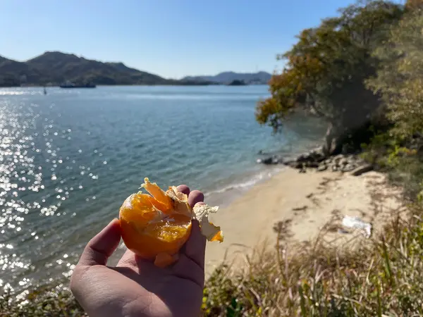 紅まどんな🍊