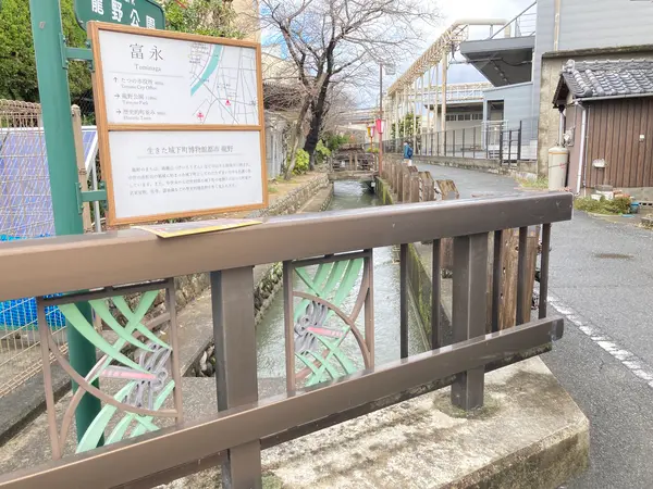 街のいたるところにとんぼがいます