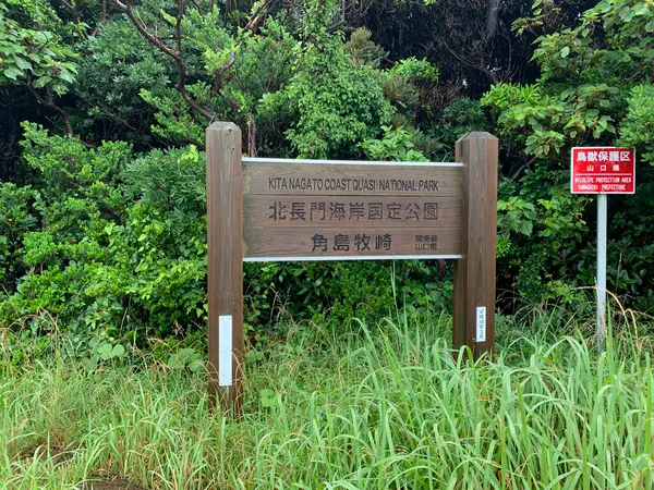 鳥類保護区にもなっています