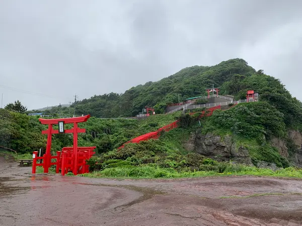 下から見るとこんな感じ