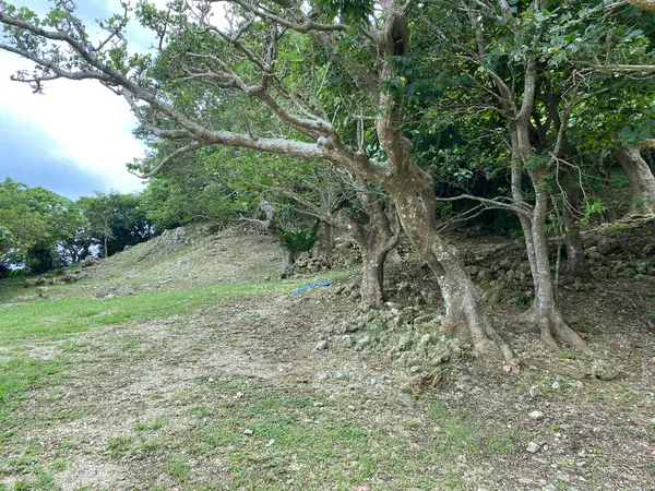 手前に車停めれます