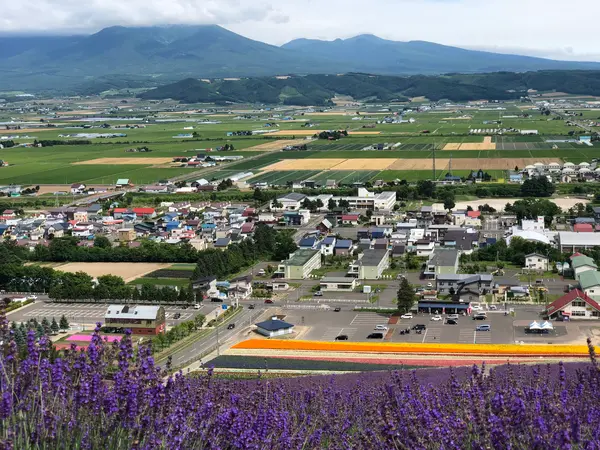 十勝平野を望む絶景