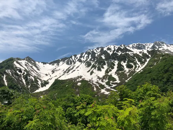 青空とのコントラストが綺麗！