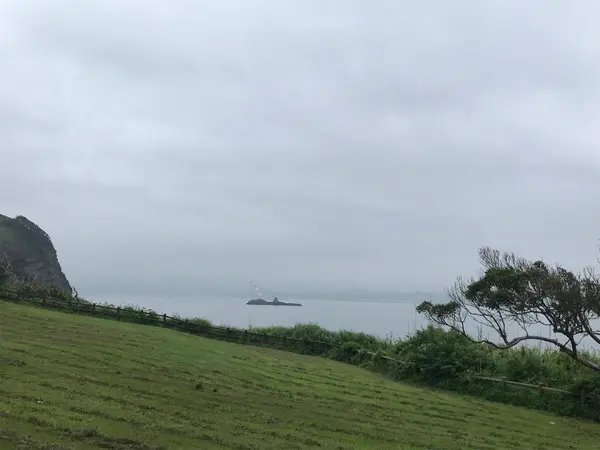 散策路から撮影