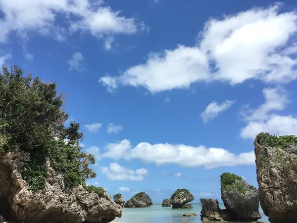 この岩〜💕