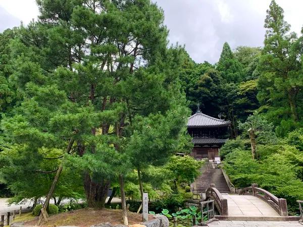 名号の松 ／ 納骨堂
