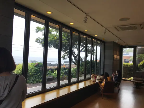 お店の見所みたいな窓