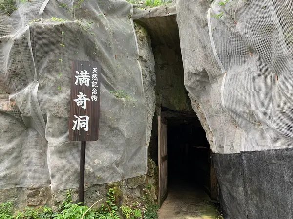 入口