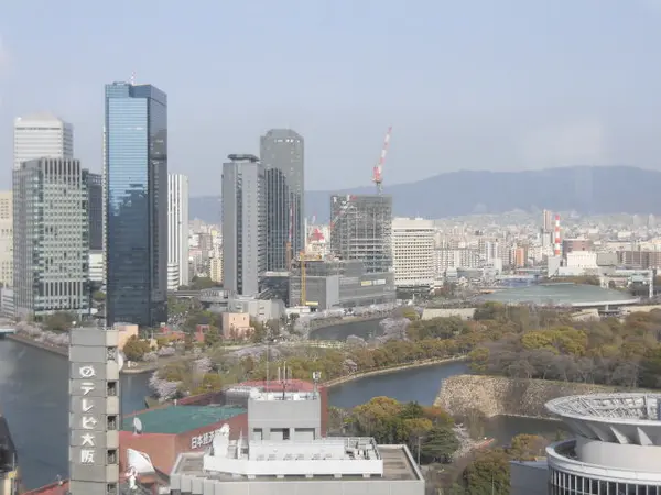 大阪平野を一望