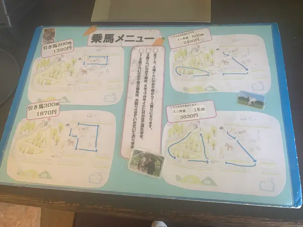乗馬メニュー