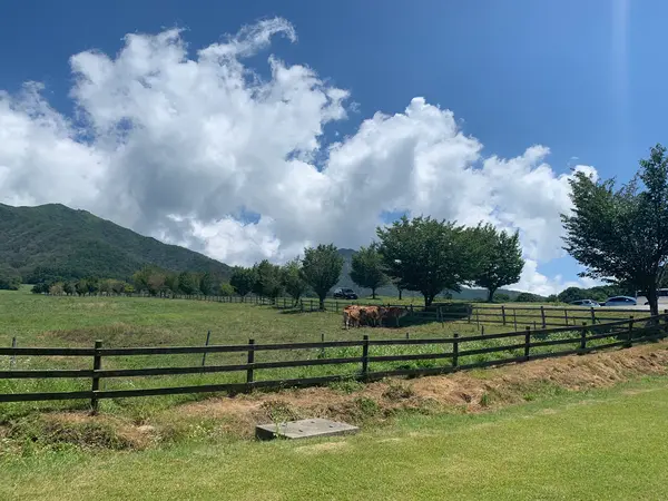 良い景色🌿