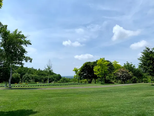 のどかで広い園内🍃