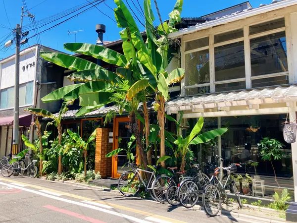 大きなバナナの木が目印