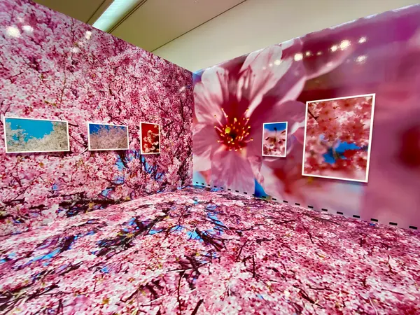 蜷川実花展
